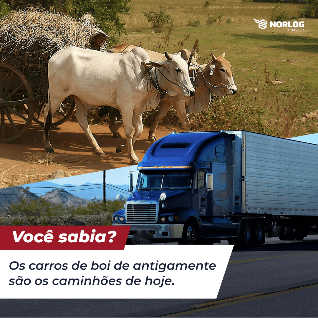 Você sabia? Os carros de boi de antigamente são os caminhões de hoje.